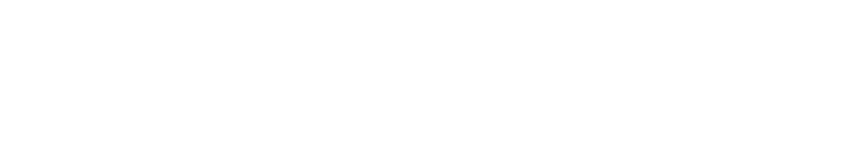 Novo Nordisk Foundation logo